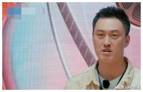 娱乐圈吃瓜爆料吴京,娱乐圈风云再起，揭秘武术巨星背后的故事